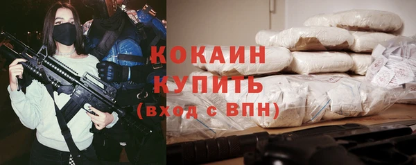 сатива Вяземский