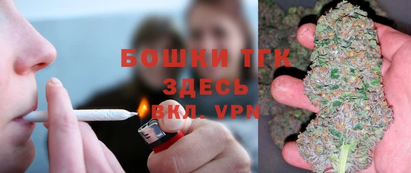 сатива Вяземский
