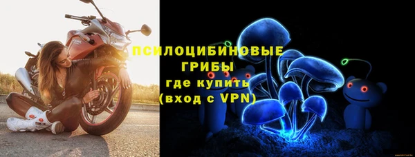 гидра Вязники