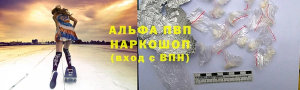 сатива Вяземский