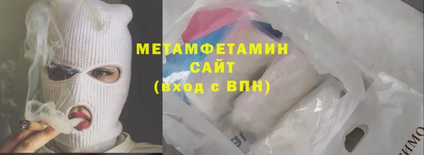 сатива Вяземский