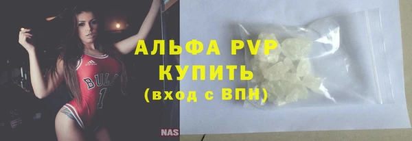 сатива Вяземский