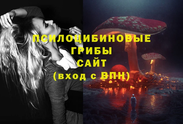 гидра Вязники