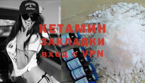 сатива Вяземский