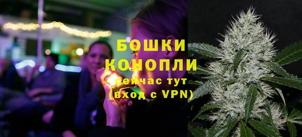 гидра Вязники