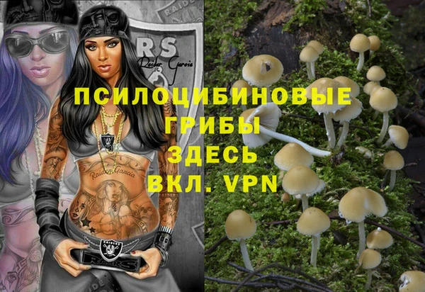 гидра Вязники