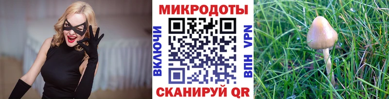 Галлюциногенные грибы прущие грибы  купить закладку  Новая Ладога 